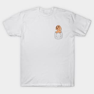 Dachshund Owner DOXIE IN MY POCKET Doggone Funny T-Shirt